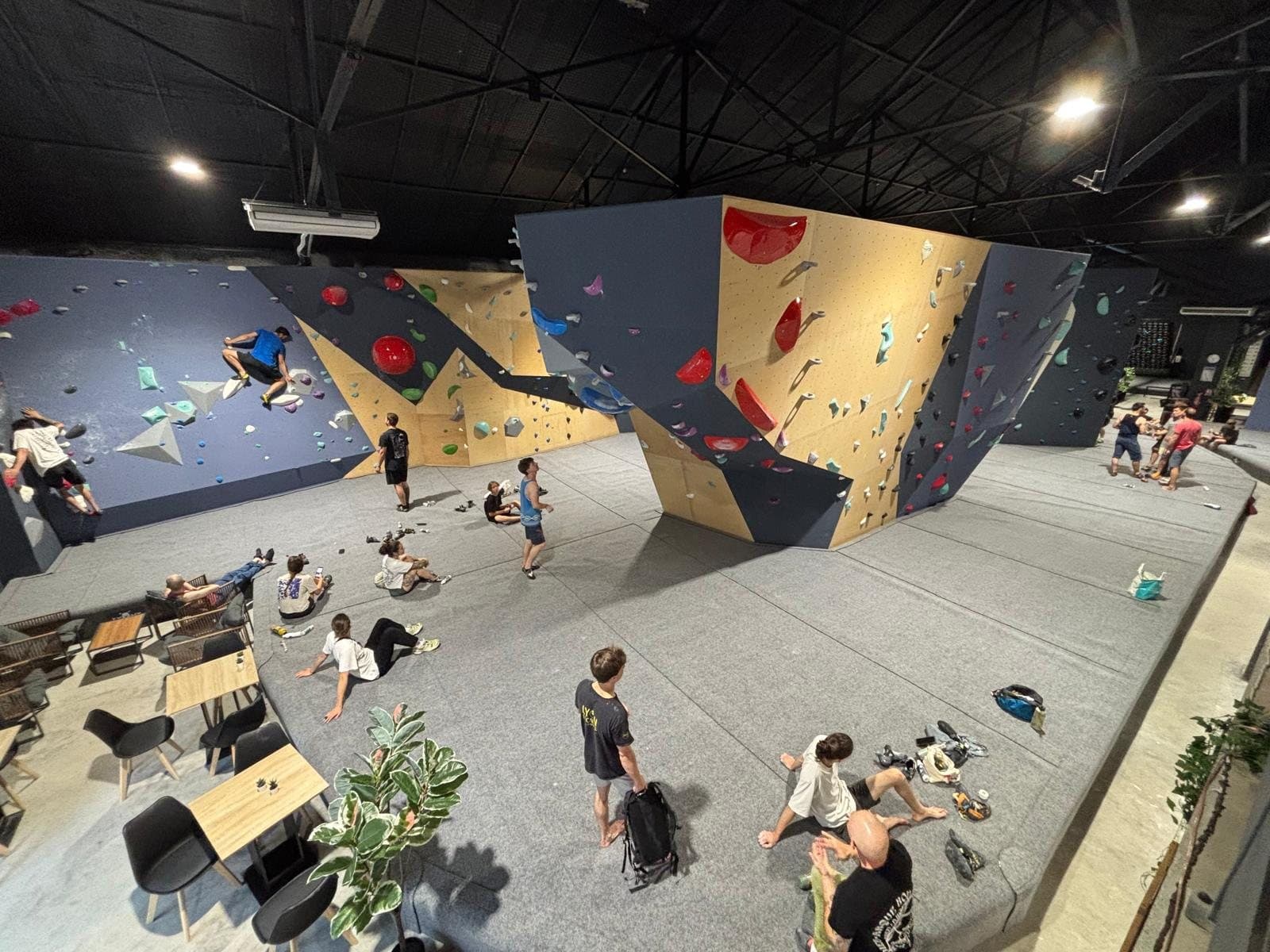 Salle de bloc aux murs bleus et bois, tapis de réception continus et espace café
