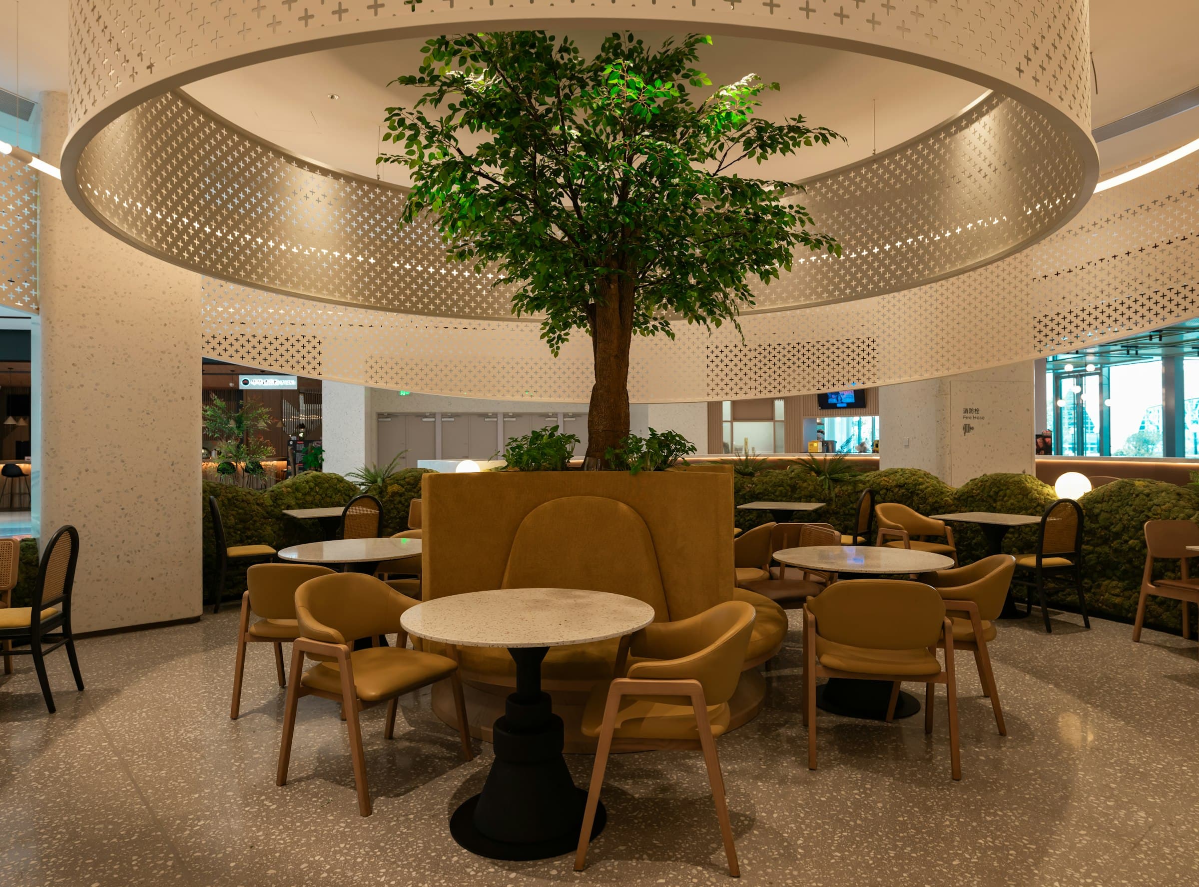 Salle de restaurant chaleureuse, banquettes beiges autour d'un arbre central