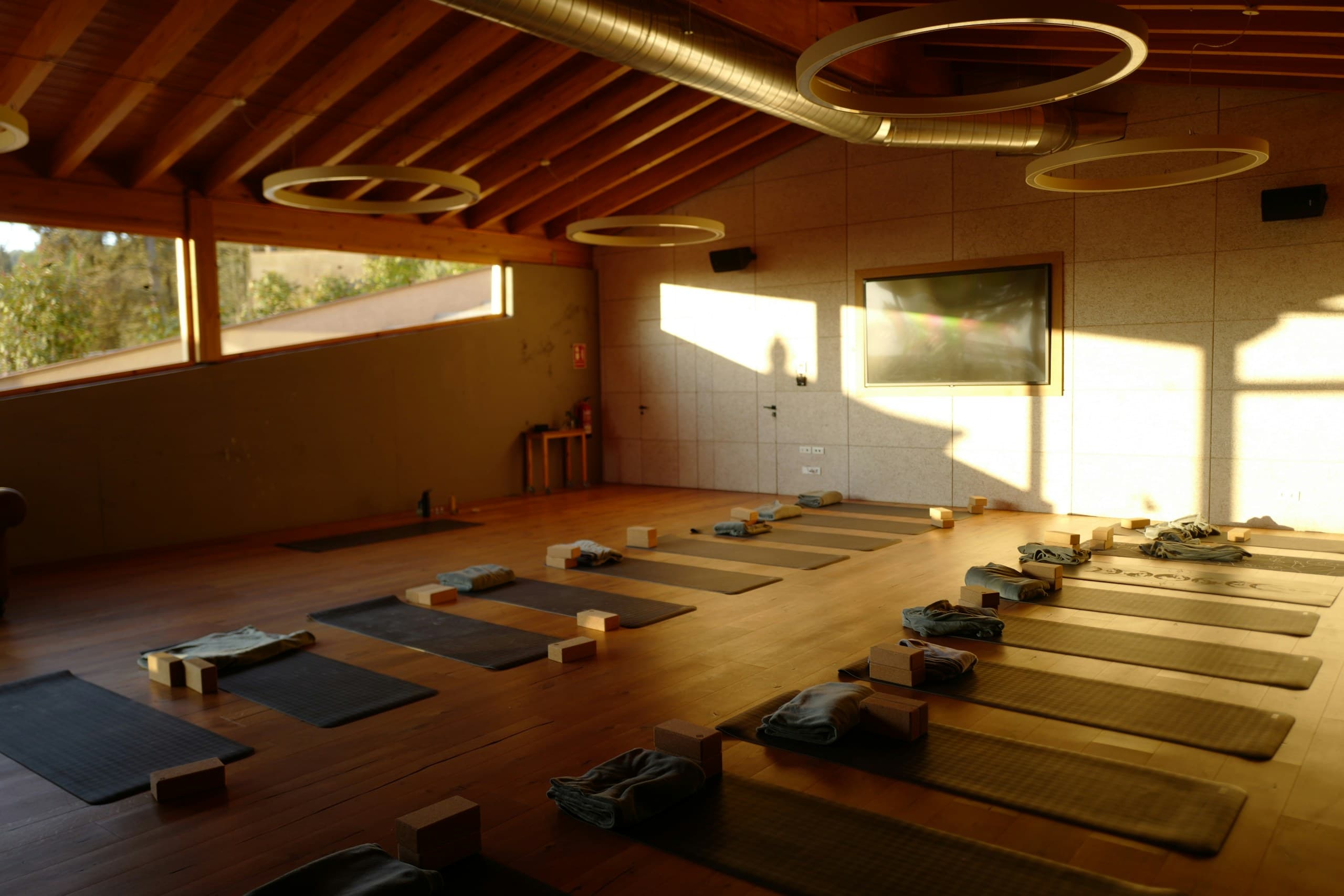 Studio de yoga au parquet et plafond bois, tapis alignés dans la lumière du soir