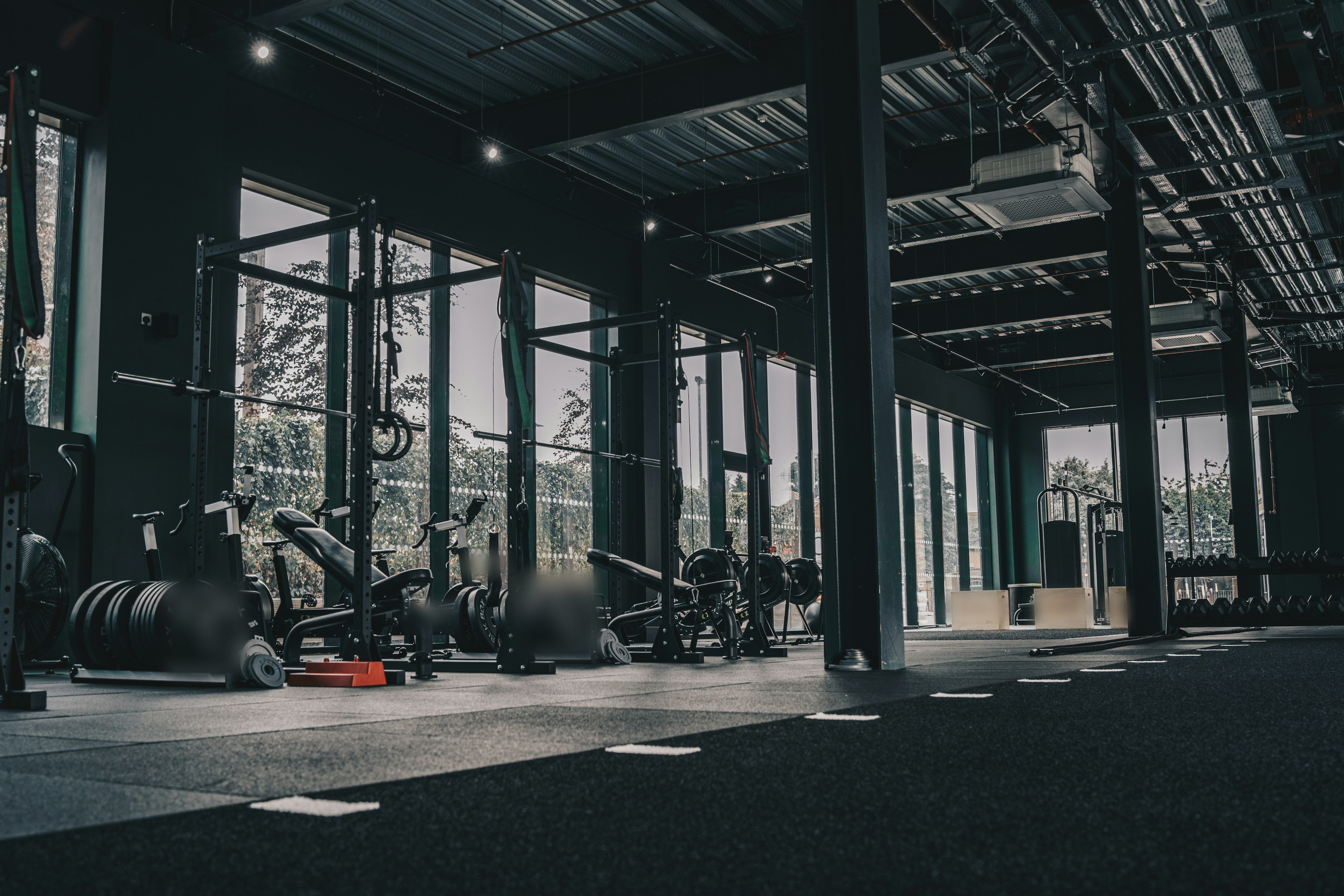 Grande salle de musculation sous charpente métallique, racks et baies vitrées sur la verdure